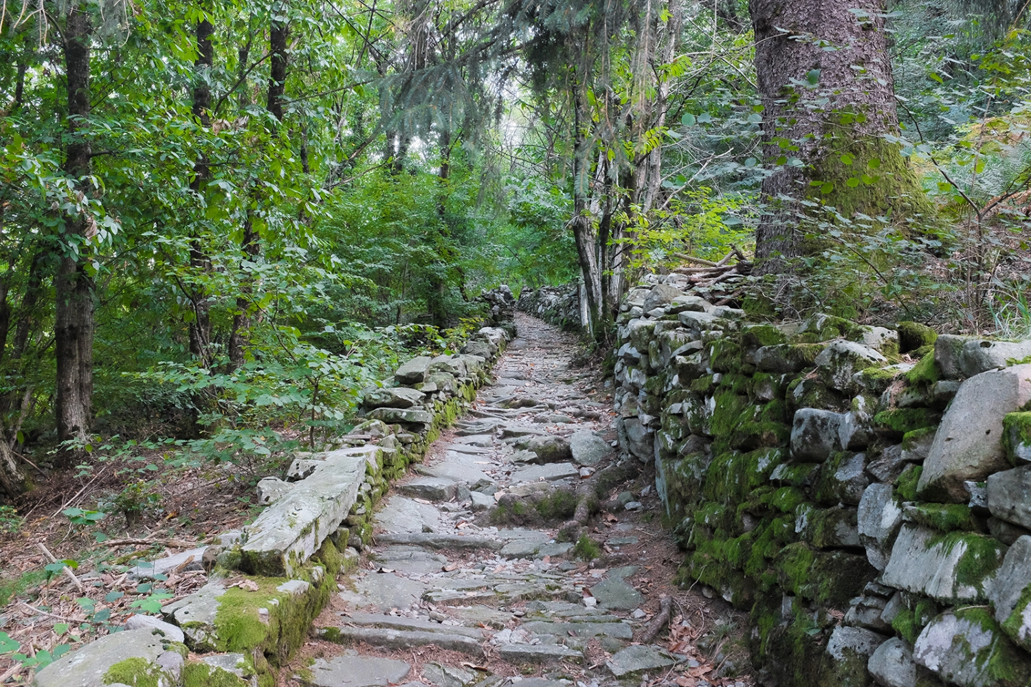 Via delle Vose — historic trail connecting Loco and Intragna